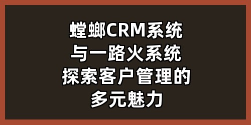螳螂 CRM 系统与一路火系统：探索客户管理的多元魅力